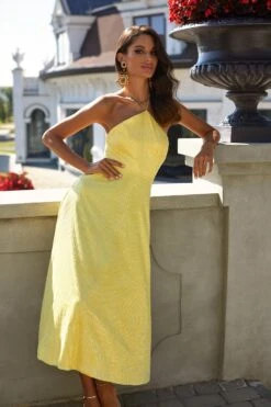 Colette Dress -Alamour The Label Shop 59 c713b4ea cf55 442b a34b b767e7bc4429