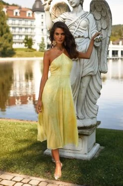 Colette Dress -Alamour The Label Shop 62 54753fca 2f00 4c1d 9633 c88550646a03