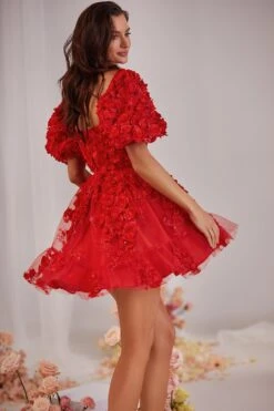 Coraline Dress -Alamour The Label Shop 62 fee9b009 81da 473f b800 7bbf23539b53